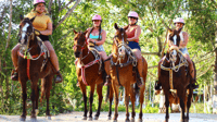 ATV Ziplines Cenote Tequila Tasting and Horseback Riding - Housity