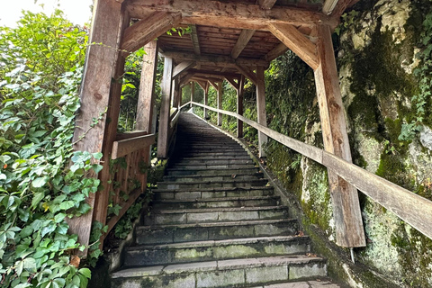 Wenen: Hallstatt Salzkammergut Dagtour met optie skywalk