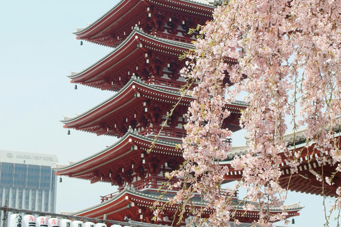 Kyoto osaka dagtrip met Engels sprekend persoon en Nara