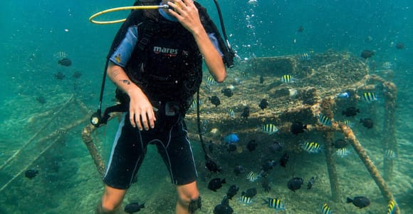 Bali Underwater Scuba Dive & Fly Fish Experience