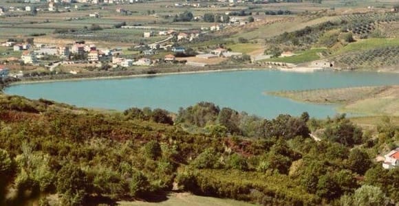 From Tirana or Durrës: Vineyard Tour and Wine Tasting
