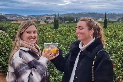 Trésors d'agrumes : A la découverte de l'orangeraie de Valence