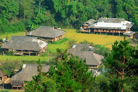 Chiang Mai: halve dagtour Doi Suthep en Hmong Village