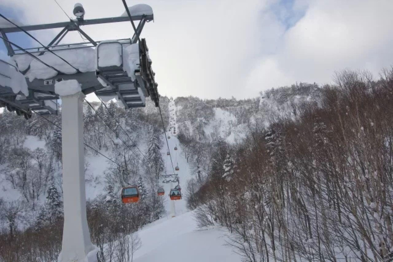 1-Day Ski Tour Package from Sapporo Station With Lesson