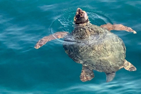 Zakynthos: Aluguel de lancha autônoma particular - sem licença