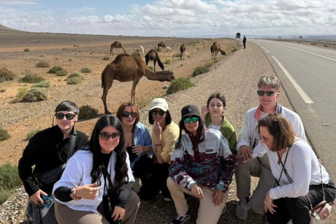 From Marrakech: 3-Day Merzouga Tour with Camel Trek & Luxury Camp Shared Standard Sahara Tour – Popular Choice