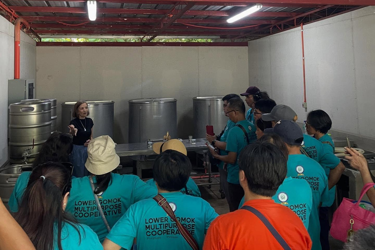 Puerto Princesa Palawan: Microbrewery Tour with Beer Tasting