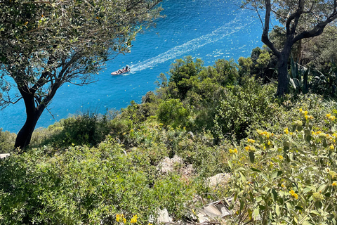 Corfu Town: Kanoni, Pelekas, and Lakones Half-Day Tour