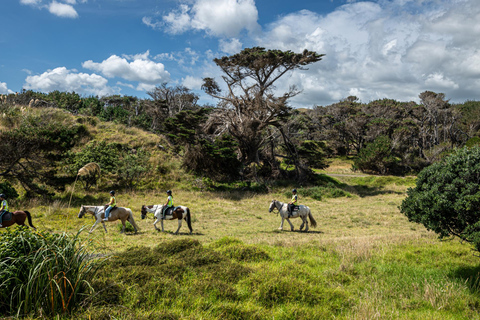 The Great Rift Escapade: Horseback Safari & Crescent Island