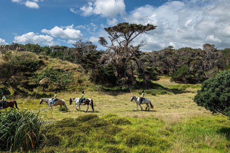 The Great Rift Escapade: Horseback Safari & Crescent Island