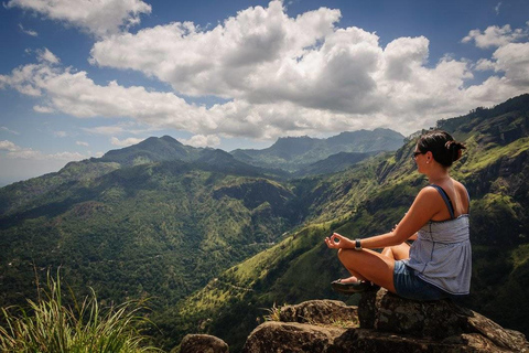 Desde - Induruwa / Maha Induruwa / Kosgoda Excursión de un día a Ella