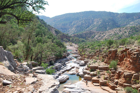 Agadir: Paradise Valley Early Morning Hike with Guide
