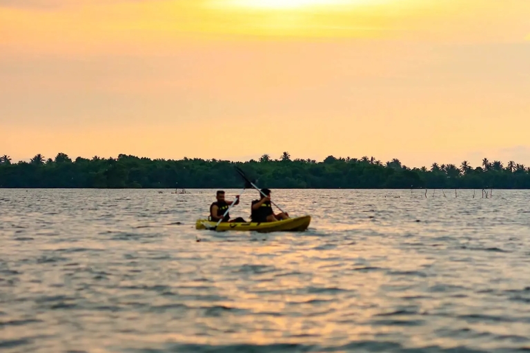 Sunset Kayaking on the Negombo Lagoon
