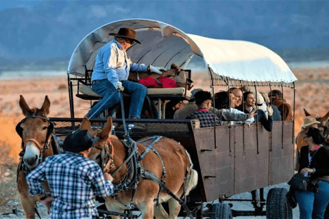 Palm Desert: Mule-Drawn Covered Wagon Adventure Tour-only