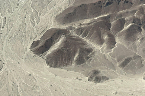 Depuis Lima, journée entière consacrée aux lignes de Nasca et à l'oasis mémorable de Huacachina.