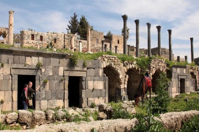 Desde Ammán: Jerash, Castillo de Ajloun Um Qais Visita PrivadaDesde Ammán: Jerash, Castillo de Ajloun Visita Privada