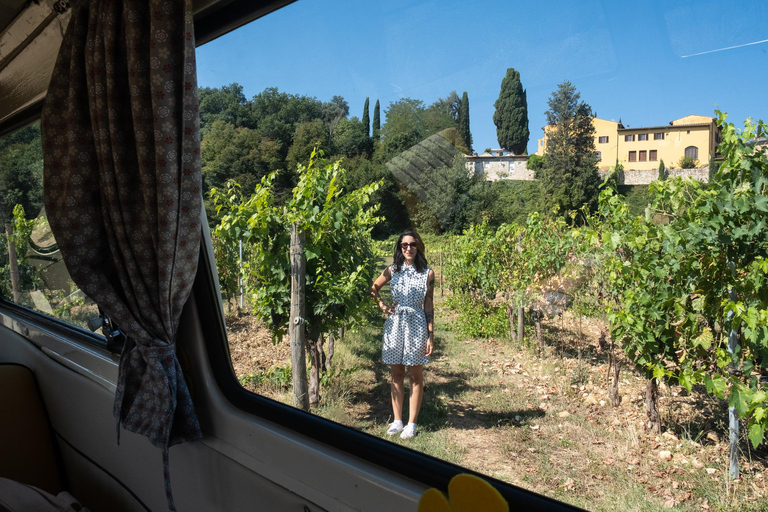 Florence: Chianti Wine Tour with 3 Wineries & Tuscan Lunch