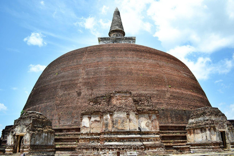 Sigiriya: Minneriya Safari & Polonnaruwa Private Tour Minneriya Safari & Polonnaruwa Private Tour from Sigiriya