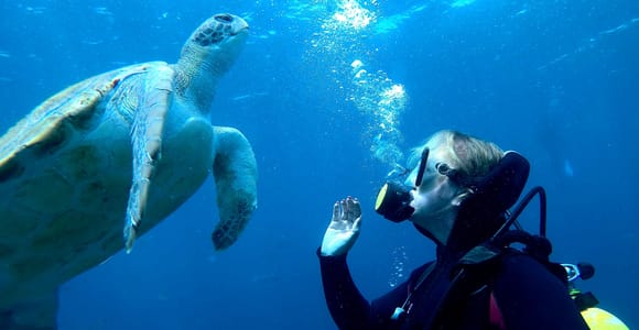 Tenerife: Swim lesson and Scuba Diving Session for Beginners