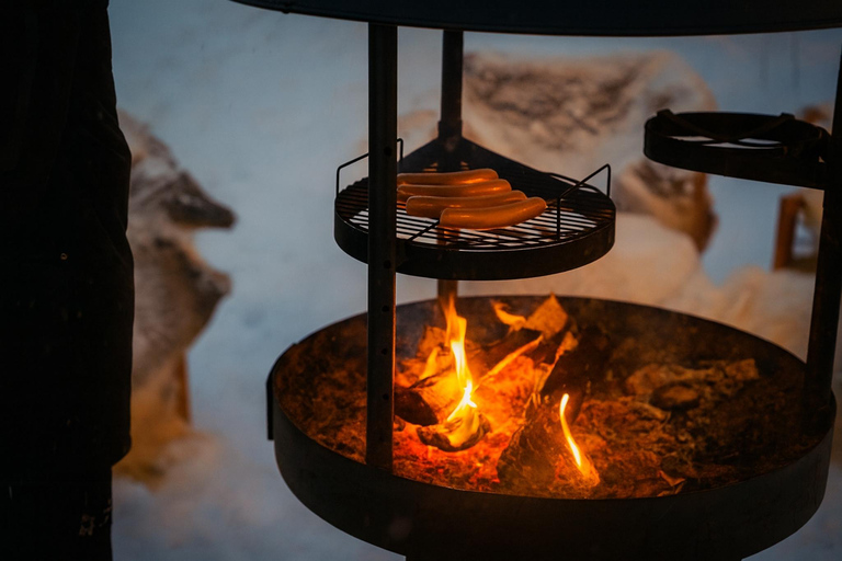 Rovaniemi: Drive New 2025 Snowmobiles - Aurora Adventure