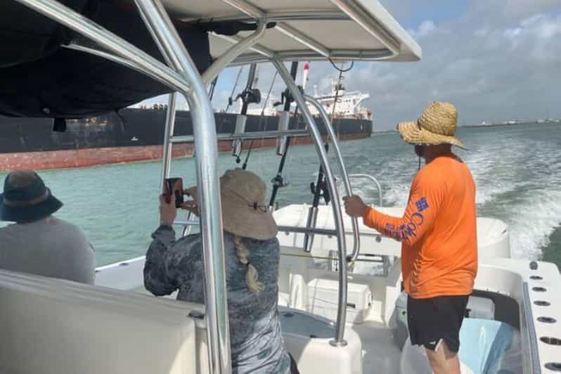 Private Dolphin Watch Boat Tour Port Aransas Texas | GetYourGuide