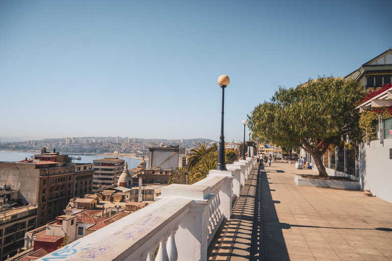 Santiago: Valparaíso, Viña del Mar e cantina Casas del Bosque con pranzo