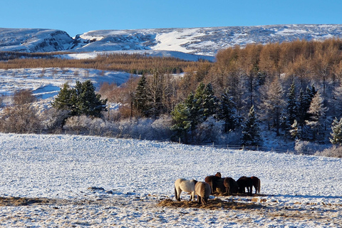 Akureyri: Goðafoss, Christmas House, and Forest Lagoon Tour