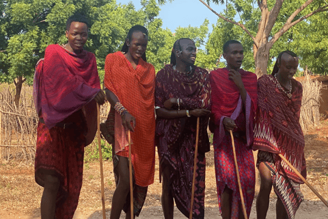 Zanzibar: Maasai village tour and Turtles experience trip Tour without Hotel pick up and drop-off