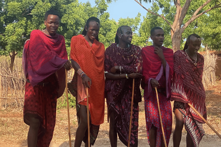 Zanzibar: Maasai village tour and Turtles experience trip Tour without Hotel pick up and drop-off