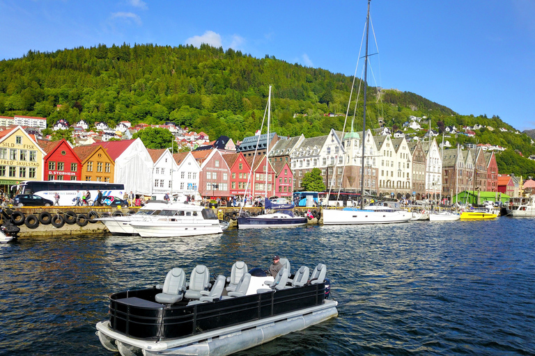 Bergen City Sightseeing Cruise by Lux Pontoon boat