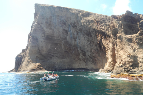 Plongée en apnée sur la faune et la flore de l&#039;île de Terceira