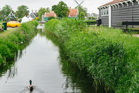 Amsterdam: Wycieczka z przewodnikiem po Zaanse Schans i degustacja serówWycieczka w języku hiszpańskim