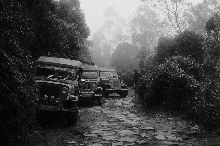 Kerala: Munnar, Thekkady, Alappuzha & Trivandrum 5-Day Trip Kerala: 5-Day Munnar, Thekkady, Alappuzha and Trivandrum