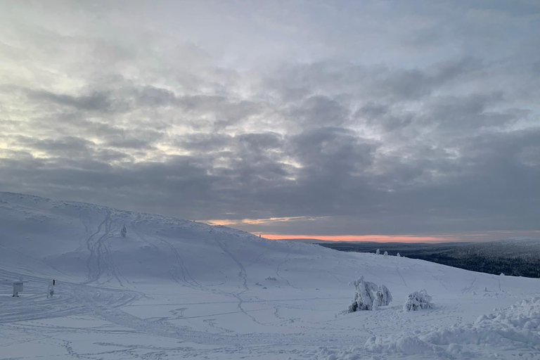 Levi: Snöskovandring: Tomtens stuga och picknick i natursköna omgivningar