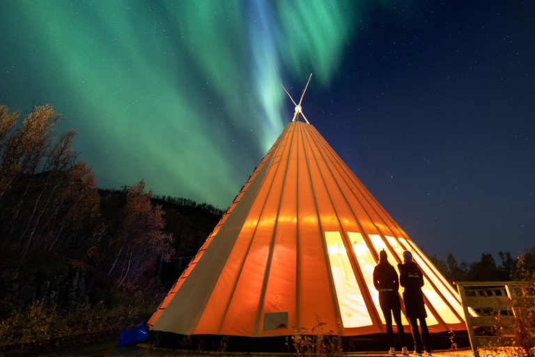 From Narvik: The Northern Lights Arctic Train Guided Tour