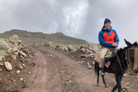 Simien Mountains: 4 Tage Trekking zum Simien Mountains ParkSimien Mountains: 4 Tage Trekking im Simien Mountains Nationalpark