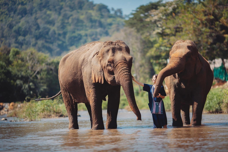 Chiang Mai Adventure: Rafting, ATV & Elephants Experience. Bamboo rafting (4km.) & 1 hrs. ATV.