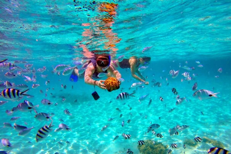 Snorkelling or Diving in Cham Island From Da Nang or Hoi An Group Tour