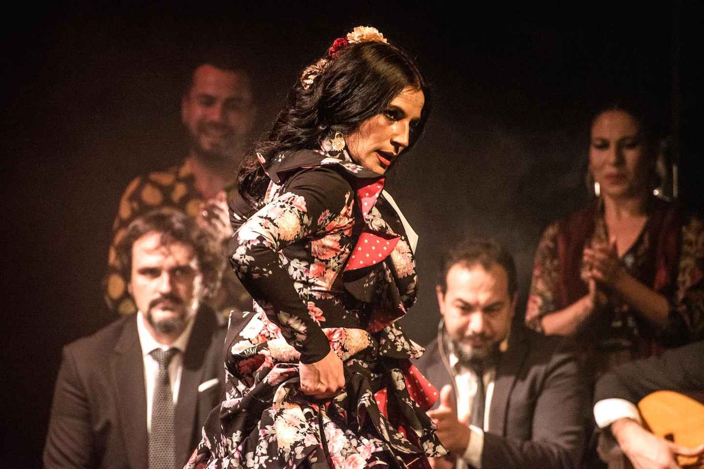 Madrid: "Emociones" Live Flamenco Performance