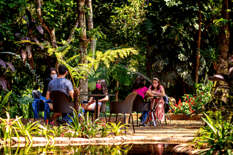 شلالات إجواسو الجانب البرازيلي، وحديقة الطيور وجولة بطائرة هليكوبترمن فوز دو إيغواسو