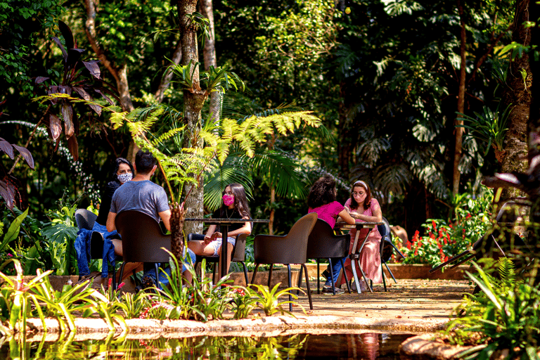 شلالات إجواسو الجانب البرازيلي، وحديقة الطيور وجولة بطائرة هليكوبترمن فوز دو إيغواسو