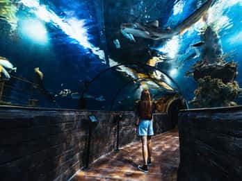 Paul's Bay: Malta National Aquarium inngangsbillett