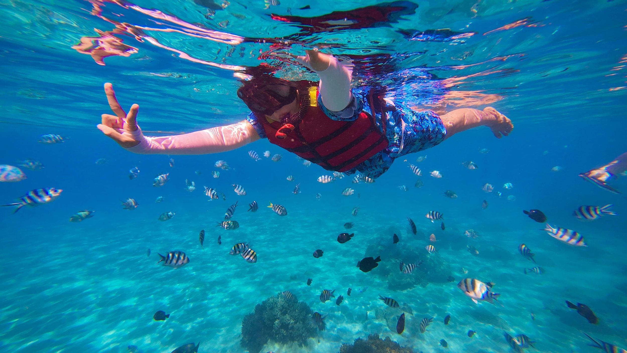 Menorca: Schnorcheltour mit einem Meeresbiologen an der Südküste