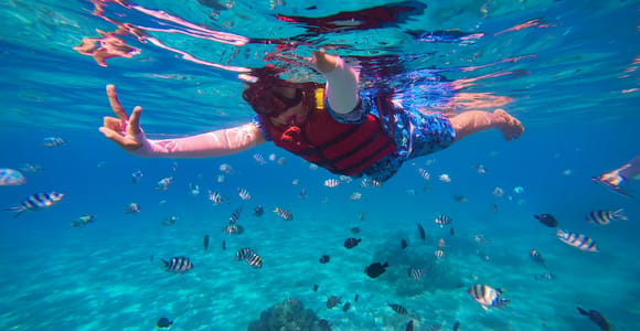 Menorca: Snorkel Tour with a Marine Biologist on South Coast