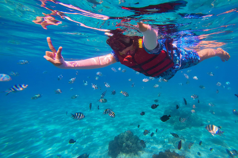 Sharm: Wycieczka morska na Białą Wyspę ze snorkelingiem, nurkowaniem i lunchemWspólna wycieczka z nurkowaniem, snorkelingiem i lunchem