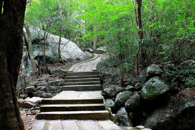 Fauna salvaje de Sri Lanka: tour de lujo de 10 días con todo incluido
