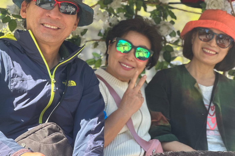 Central Park: Guided 1.5-hour Movie & Celebrity Pedicab Tour