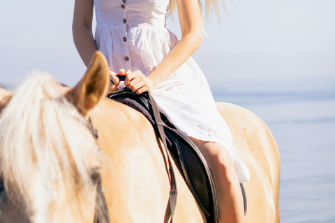 St. Lucia: Horseback Riding on the Beach with Swim