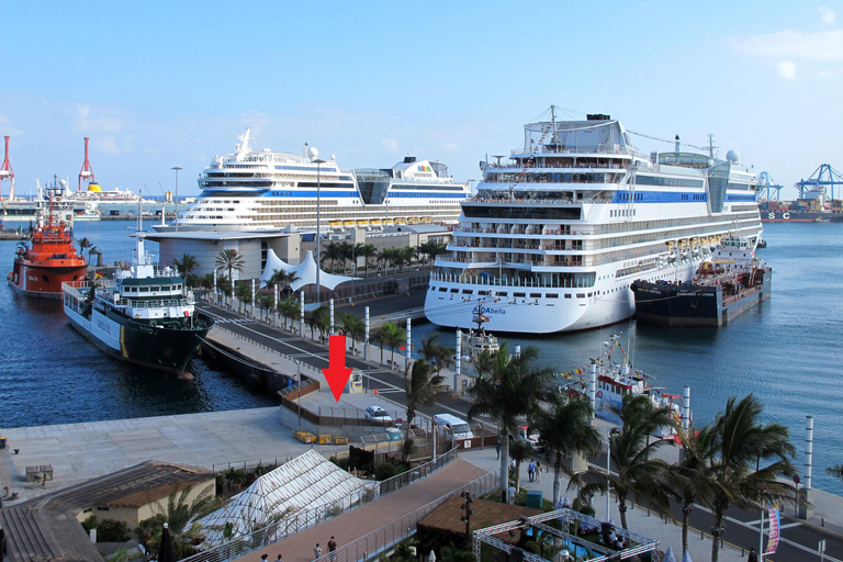 Gran Canaria: Shore Excursion with Rum Distillery Tour