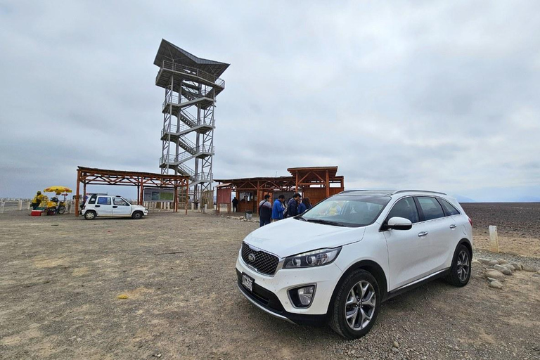 From Ica: Nazca Lines Flight + Archaeological Tour